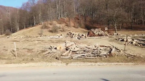 Logging in deciduous forest , Carpathian mountains , Romania Stock-Footage 123209366