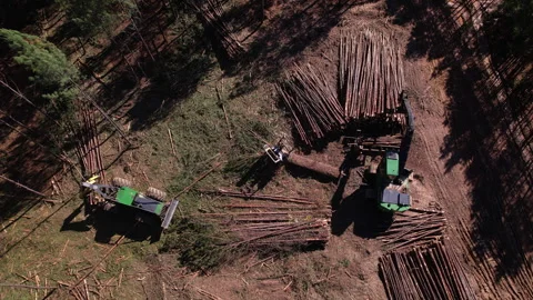 Logging Deck 4K 動画素材 327092458