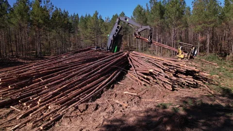 Logging Deck 動画素材 327092748