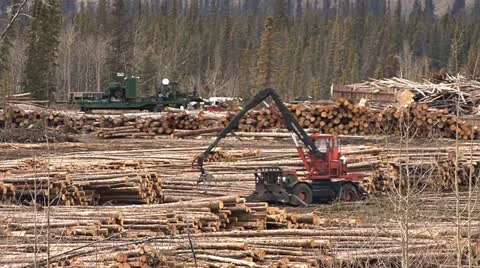 Logging Deck Yarder in Operation 1 Stock Footage 10936378