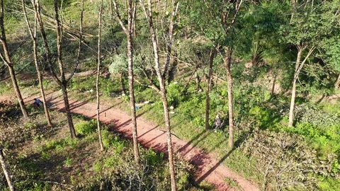 Logging Deforestation 스톡 동영상 101008941