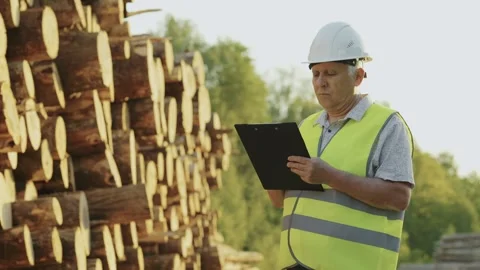 Logging engineer with with paper tablet in his hands next to sawn logs. Slow Stock Footage 242624946
