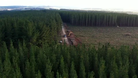 Logging equipment in cleared field Stock Footage 172559584