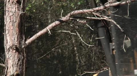 Logging Equipment Stock Footage 11487132