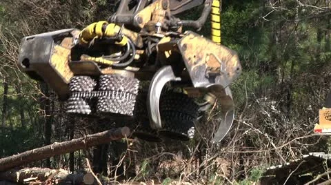 Logging Equipment Stock Footage 11487277