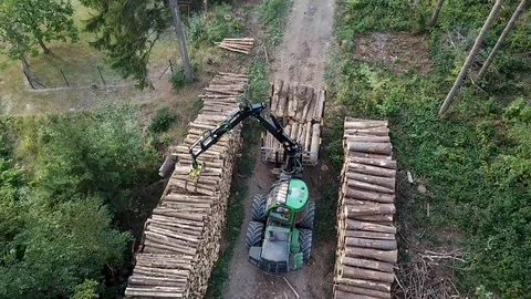 Logging Equipment offloading Wood - areal view. Stock Footage 108098616