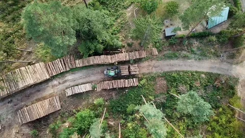 Logging Equipment offloading Wood - areal view. Stock Footage 108099053