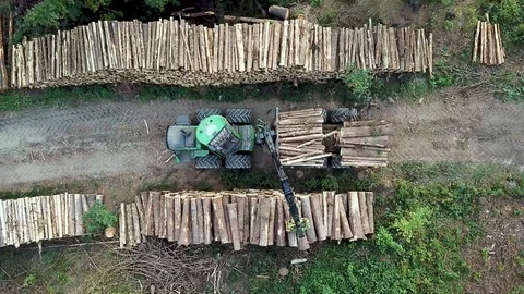 Logging Equipment offloading Wood - areal view. Stock Footage 108099230