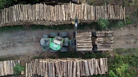 Logging Equipment offloading Wood - areal view. Stock Footage 108099402