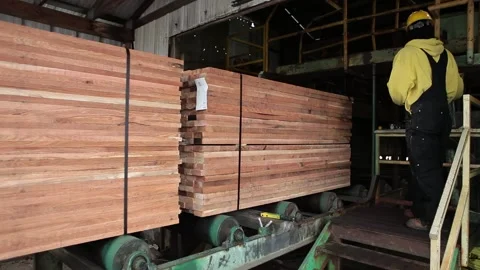 Logging Factory Mill Preparing Wood for Shipment 動画素材 172264493