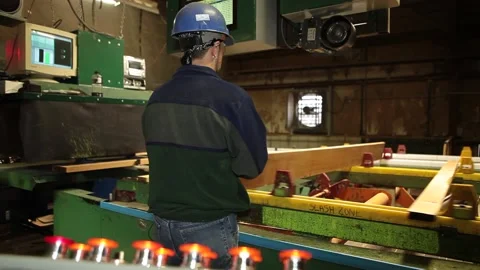 Logging Factory Mill Worker Inspecting Wood Rack Focus 動画素材 172264492