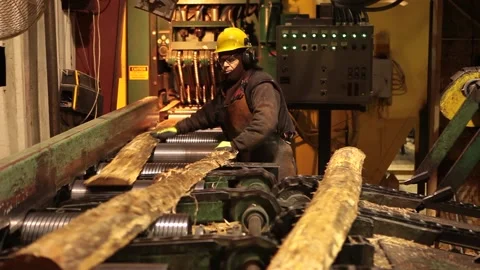 Logging Factory Mill Worker on Sawing Cutting Machine Stock Footage 172264580