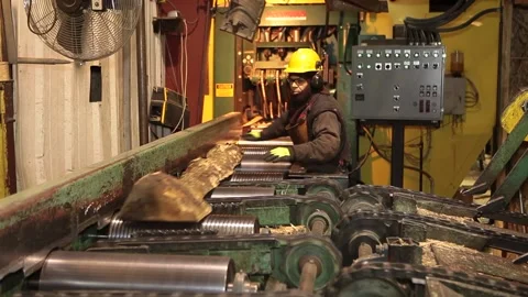 Logging Factory Mill Worker Sending Log Through Cutter Saw Stock Footage 172264549