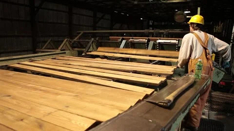 Logging Factory Mill Worker Sorting Wood 動画素材 172264527