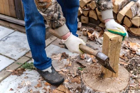 Logging firewood. Foto stock