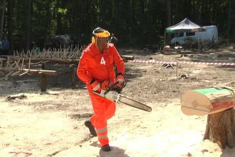 Logging Stock Footage 12289461