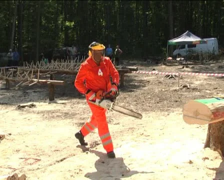 Logging Stock Footage 12289482