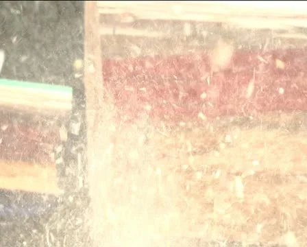 Logging Stock Footage 12289489