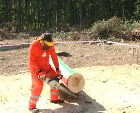 Logging Stock Footage 12289499