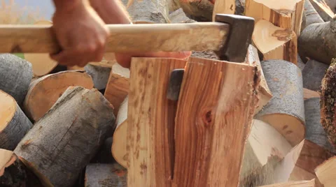 Logging Vídeos de archivo 31402021