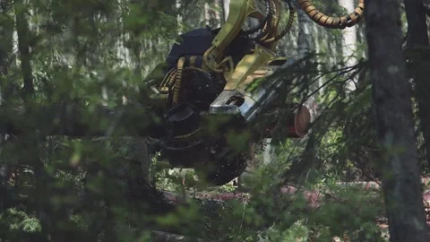 Logging Video stock 166091572