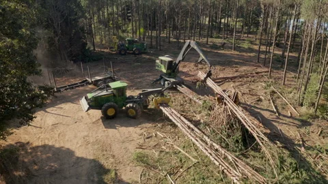 Logging in the Forest Aerial View Stockbeeldmateriaal 248157060