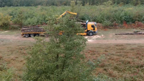 Logging Forklift Operator Truck Loading Tree Logs Sawmill Factory Aerial Drone Vídeo Stock 127624718
