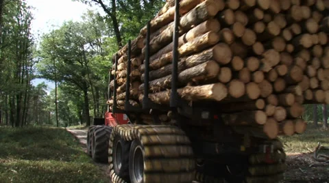 Logging forwarder drives off in forest - wide shot Stock Footage 33713417