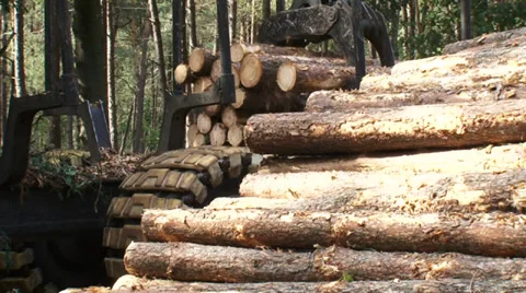 Logging forwarder stacking timber (valmet 840-3)  close up gripper Stock Footage 33625622