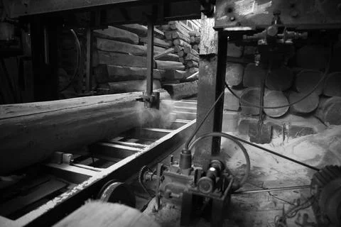 Logging Industry Stock Photos