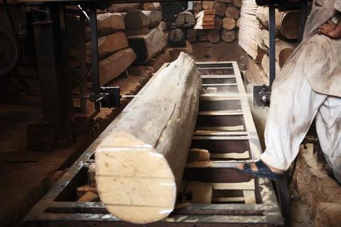 Logging Industry Stock Photos