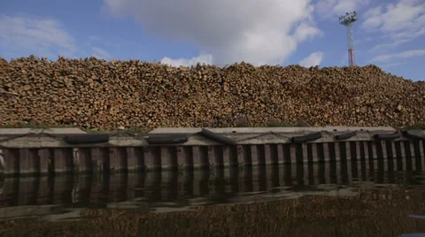 Logging Industry, pier. Stock Footage 36424466