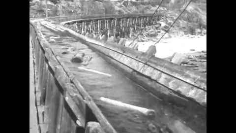The logging industry of Quebec Canada in 1937. 動画素材 79559516
