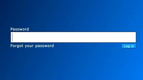 Logging in internet, space for password, web abstraction, 3d rendering Stock Illustration