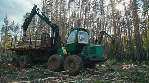 A Logging loader is using the claw attachment for transporting of fallen logs Stock Footage 262916382