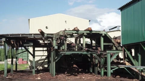Logging, logs go on the conveyor Stock Footage 145426729