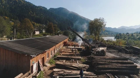 Logging machine cuts down trees and puts trunks for further transportation to Stock Footage 126586175