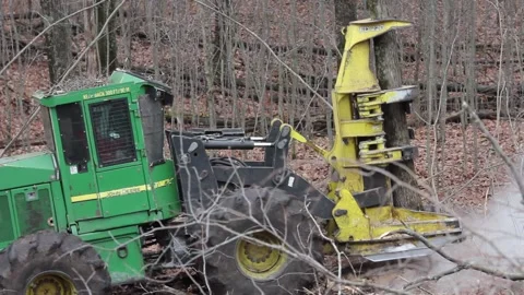 Logging Machine Cutter Saw in Forest 動画素材 172263850