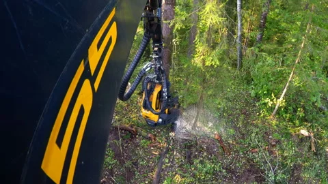 Logging machine cutting down trees, cutting branches and fold the trunks Stock Footage 105972031