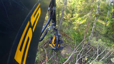 Logging machine cutting down trees, cutting branches and fold the trunks Stock Footage 105972550