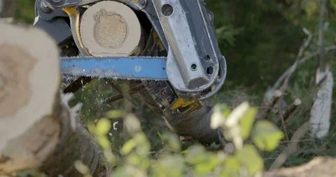 Logging machine cutting down trees, cutting branches and fold the trunks Stock Footage 105975080