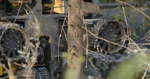 Logging machine cutting down trees, cutting branches and fold the trunks Stock Footage 105975440