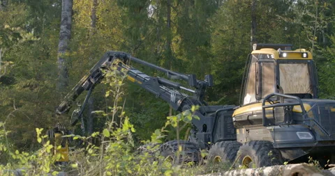 Logging machine cutting down trees, cutting branches and fold the trunks Stock Footage 105978176