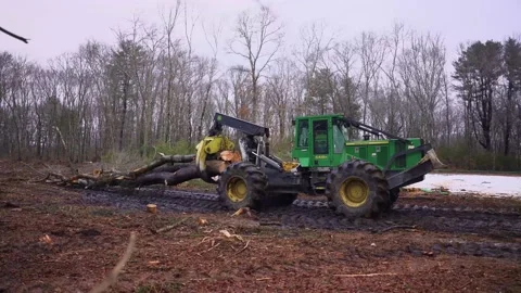Logging Machine Dragging Tree (4k) Video stock 168330612