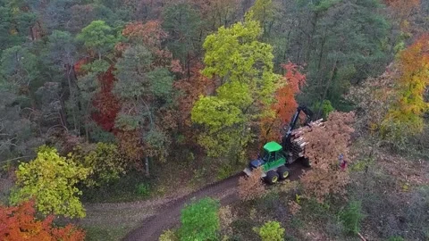 Logging machine in the forest Stock Footage 130821004