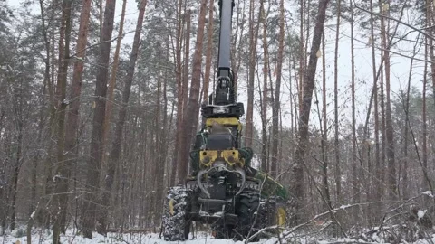 Logging machine, a forwarder, drives down the road, loaded with trees. Stock Footage 300765844