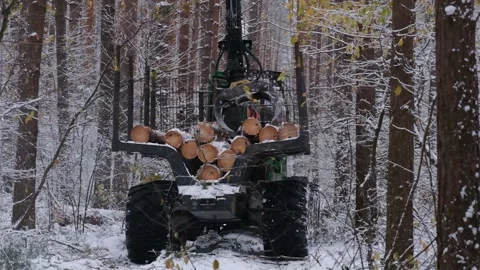 Logging machine, a forwarder, drives down the road, loaded with trees. Stock Footage 300766268