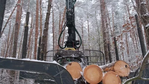 Logging machine, forwarder, loads felled wood. Stock Footage 300766225