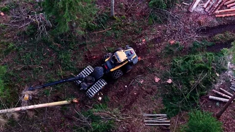 Logging machine harvesting timber. Aerial view of harvester cutting down trees Stock Footage 334104004