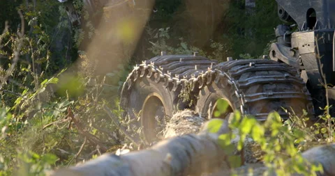 Logging machine  moves to the place of work where it will cut down trees  Stock Footage 105978769